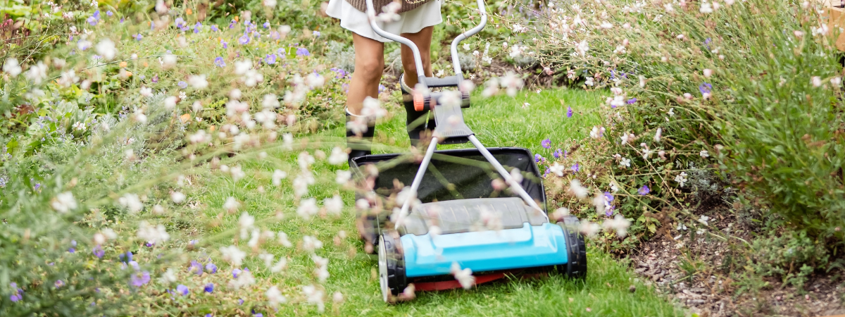 Duurzaam tuinieren in 2026 | TopTuincentrum.nl Duurzaam tuinieren in 2026 | TopTuincentrum.nl