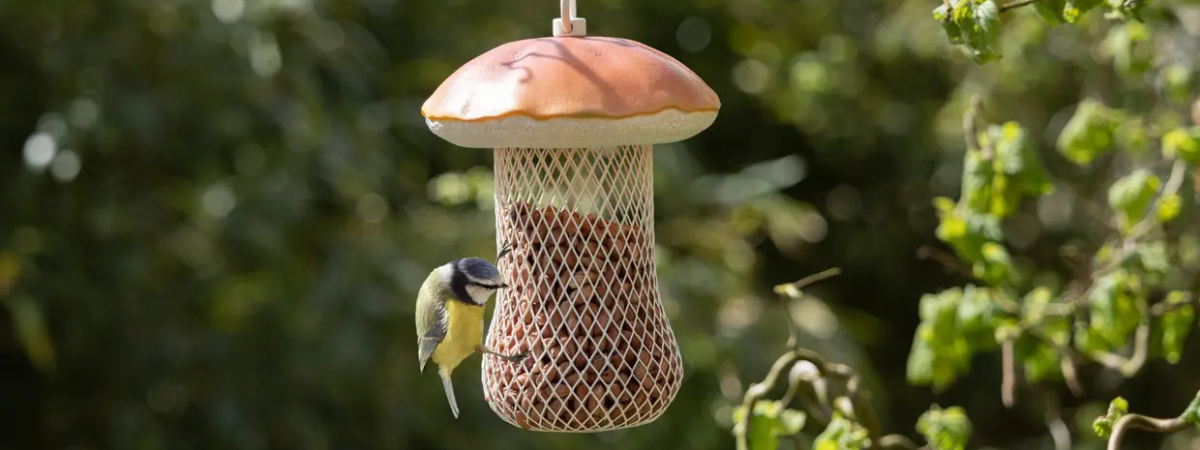 Zo houd je tuinvogels te vriend | TopTuincentrum.nl Zo houd je tuinvogels te vriend | TopTuincentrum.nl