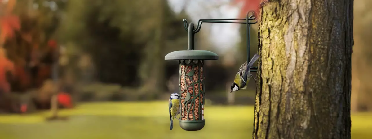 Zo houd je tuinvogels te vriend | TopTuincentrum.nl Zo houd je tuinvogels te vriend | TopTuincentrum.nl