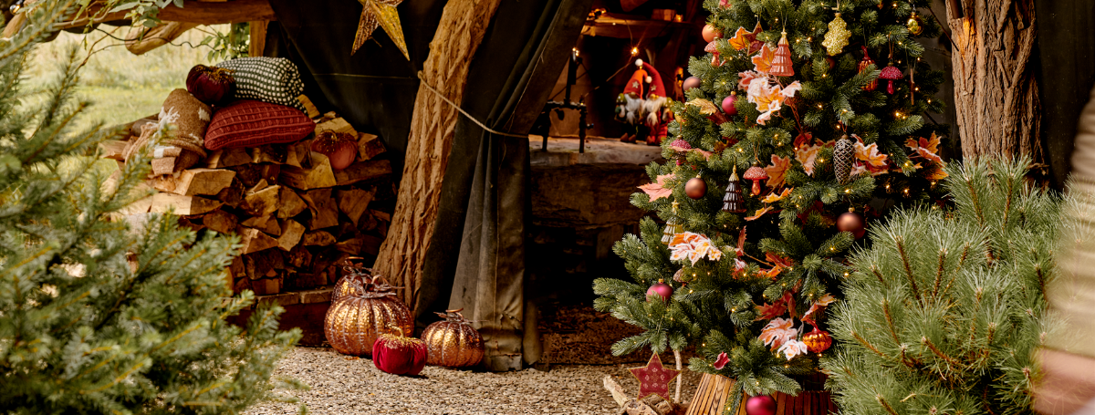 Kersttrends 2024? TopTuincentrum.nl vertelt het je!