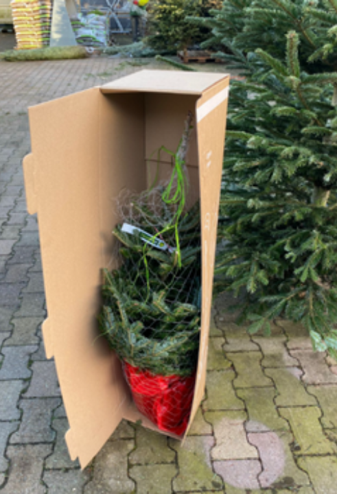 Een kerstboom met kluit bestel je gemakkelijk op Toptuincentrum.nl!
