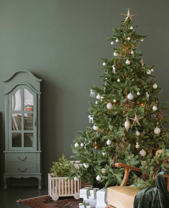 Een grote, smalle, witte, of kleine kerstboom koop je op Toptuincentrum.nl!
