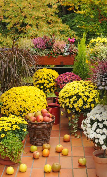 Van balkon tot schaduwtuin: zó zorg je voor kleur!