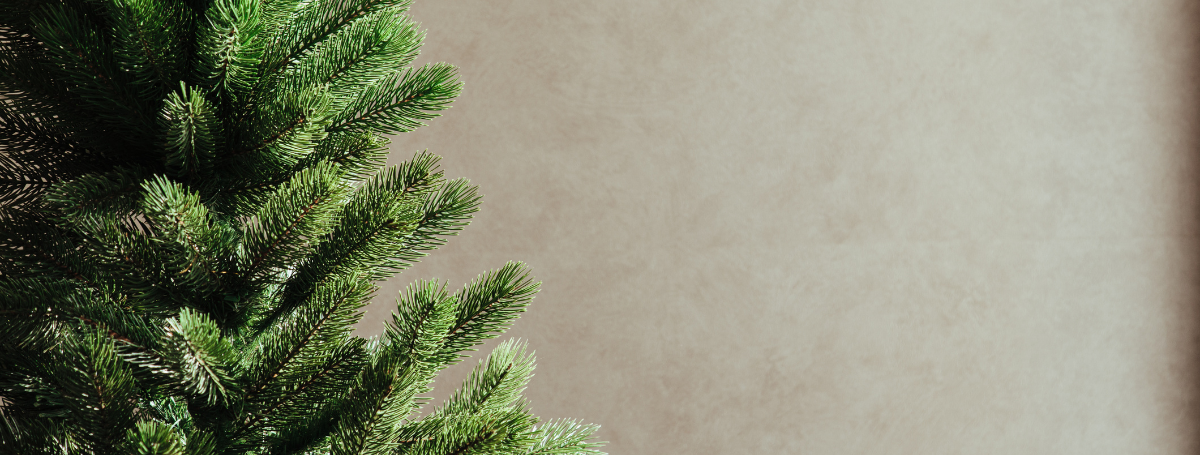 Wist je dat je jouw kerstboom online kunt bestellen?