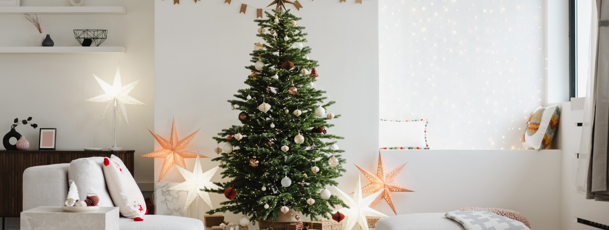 Wist je dat je jouw kerstboom online kunt bestellen?