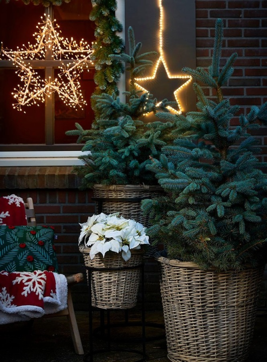 Kerstverlichting buiten? Altijd een goed idee! Shop het op Toptuincentrum.nl!