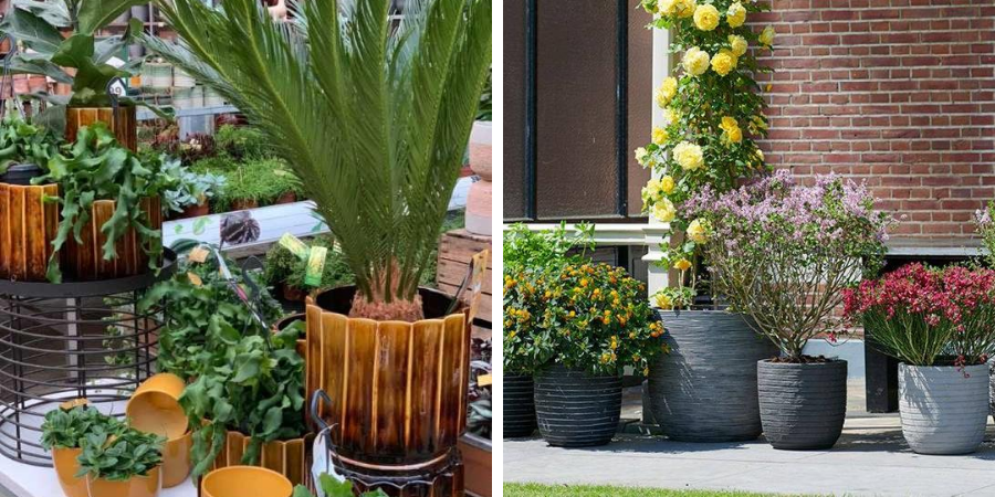 Voor een dagje uit verontreiniging bidden Buitenpotterie kopen - Top Tuincentrum