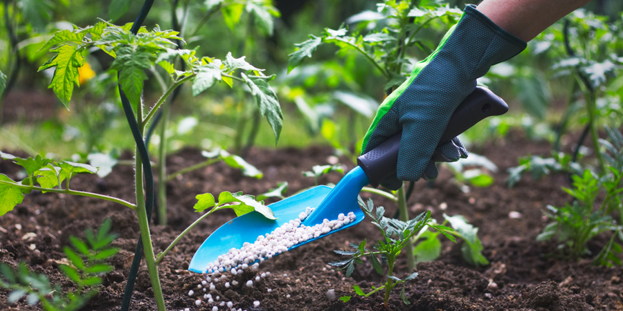 Gezonden planten met meststof | Toptuincentrum.nl