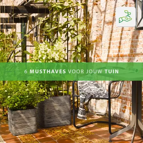 6 musthaves voor jouw tuin