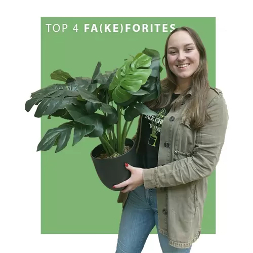 Toptuincentrum Top 4 fa(ke)forites