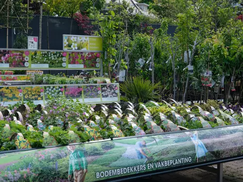 Tuinplanten online bestellen?!