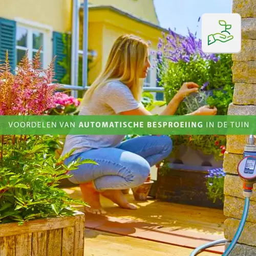 Voordelen van automatische besproeiing in de tuin