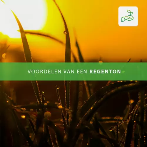 Wat doet een regenton en wat zijn de voordelen hiervan?