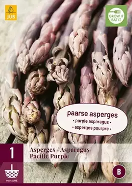 1 Asparagus Pacific Purple - afbeelding 2