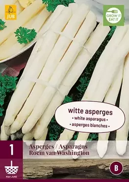 1 Asparagus Roem Van Washington - afbeelding 2