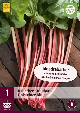 1 Rheum/Rabarber Holsteiner Blut - afbeelding 2