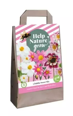 1 Tas 5 Dahlia Sweet Mix - Help Nature Grow