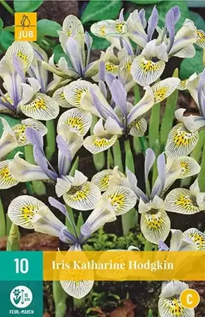 X 10 Iris Katharine Hodgkin - afbeelding 1