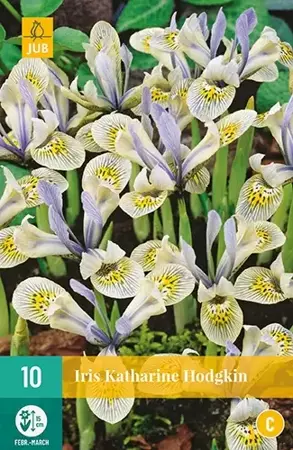 X 10 Iris Katharine Hodgkin - afbeelding 2