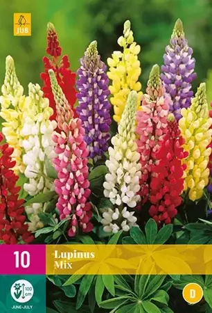 10 Lupinus Mix - afbeelding 2