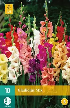 10 stuks Gladiolus Mix