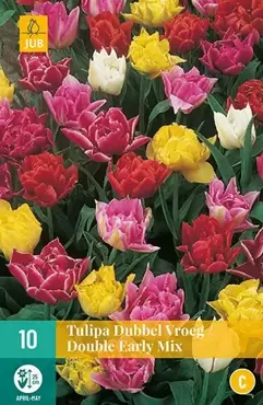 X 10 Tulipa Dubbel Vroeg mix - afbeelding 2