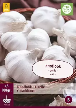 100 Gr. Knoflook Casablanca - afbeelding 2