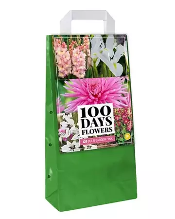 125 Bloembollen 'Bulb Garden Pink' - afbeelding 2