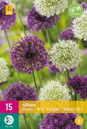X 15 Allium Paars/Wit Mix - afbeelding 2