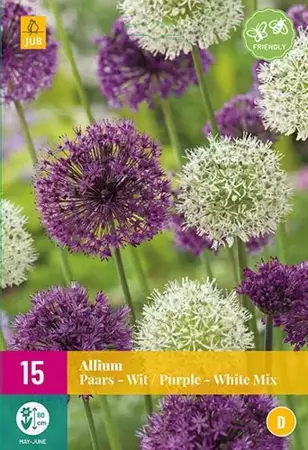 X 15 Allium Paars/Wit Mix - afbeelding 1