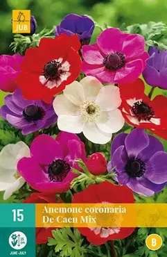 15 Anemone Coronaria De Caen Mix - afbeelding 2