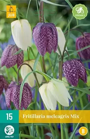 X 15 Fritillaria meleagris mix - afbeelding 1