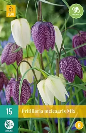 X 15 Fritillaria meleagris mix - afbeelding 2