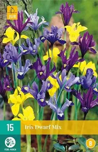 X 15 Iris species mix
