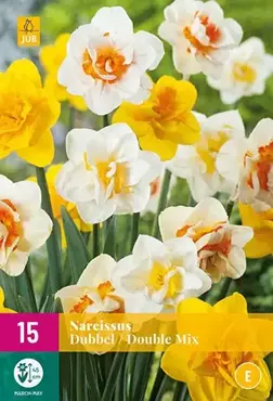 X 15 Narcissus Dubbel mix - afbeelding 2