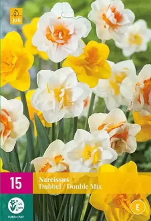 X 15 Narcissus Dubbel mix - afbeelding 1