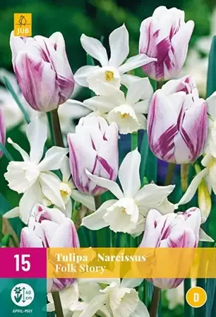 X 15 Tulipa/Narcissus Folk Story - afbeelding 2