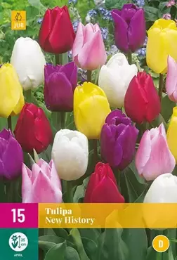 X 15 Tulipa New History - afbeelding 2