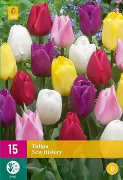 X 15 Tulipa New History - afbeelding 1