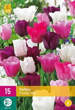 X 15 Tulipa Pastel mix - afbeelding 2