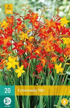 20 Crocosmia Mix - afbeelding 2