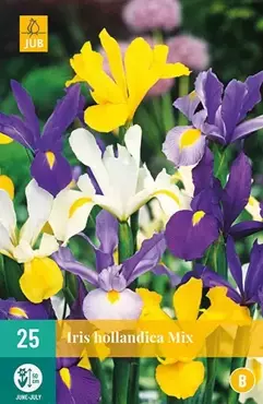 25 Iris Hollandica Mix - afbeelding 2