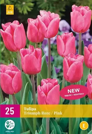 X 25 Tulipa Triumph roze - afbeelding 1