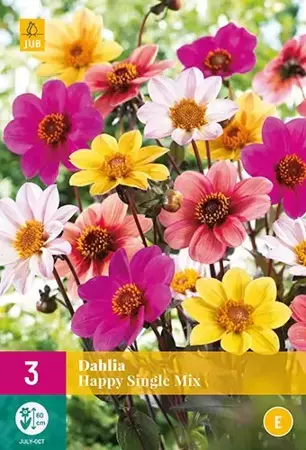 3 Dahlia Happy Single Mix - afbeelding 2