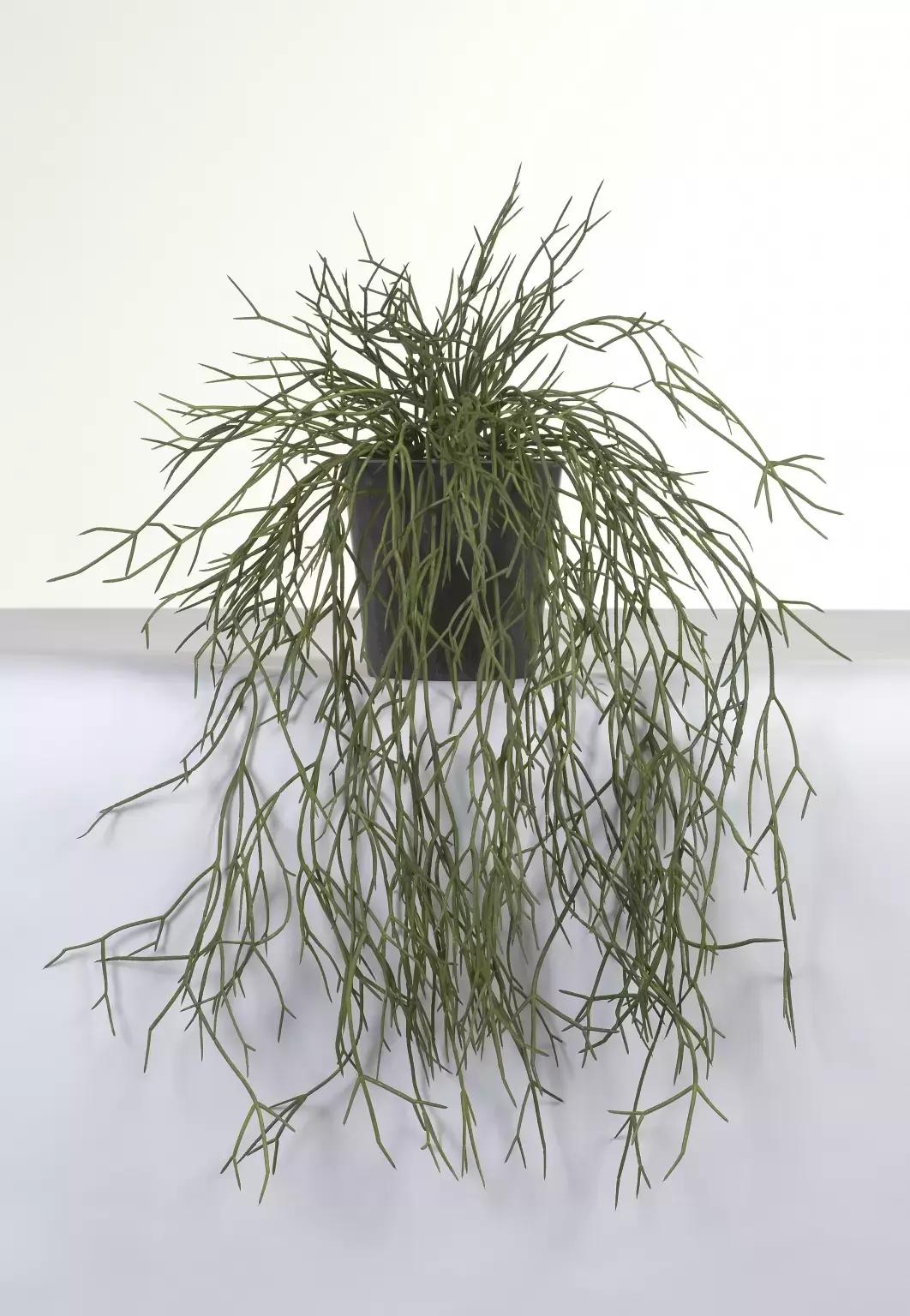 Kunstplant Rhipsalis x3 in pot