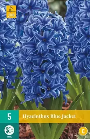 X 5 Hyacint Blue Jacket - afbeelding 1