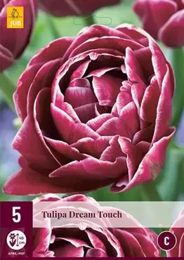 X 5 Tulipa Dream Touch - afbeelding 2