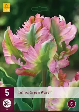 X 5 Tulipa Green Wave - afbeelding 1
