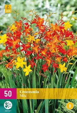 50 Crocosmia Mix - afbeelding 2