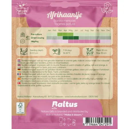 Afrikaantje bonita mengsel 50st - afbeelding 2